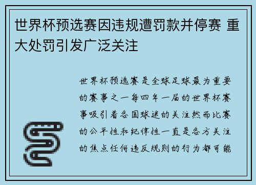 世界杯预选赛因违规遭罚款并停赛 重大处罚引发广泛关注